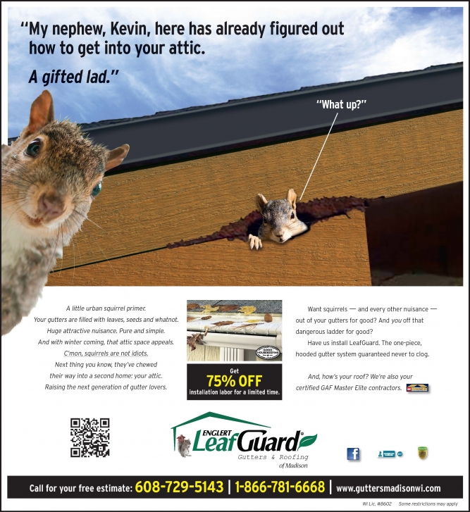 LeafGuard Newspaper Page Image 1 of 2